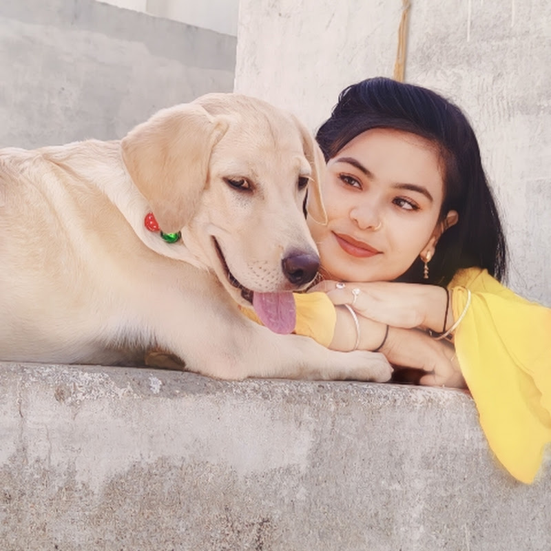 Charlie's Delightful Life