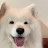 @YYouTube-