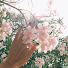 amaige _