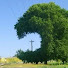 Хулио Альберто