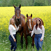 Elfstrands blogg