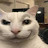 @Vinaysongoku's avatar