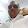 johnson agogo