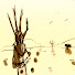 2XiMncpQXNQ-channel-avatar-empty frontier