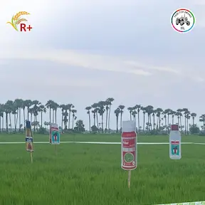 Insecticides India Ltd YouTube channel