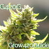 Grow420Guide