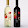 RAIGARH EXCISE