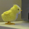chirpy13