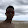 AJ Millan