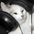 2WU0a_NzUqM-channel-avatar-加载猫meme