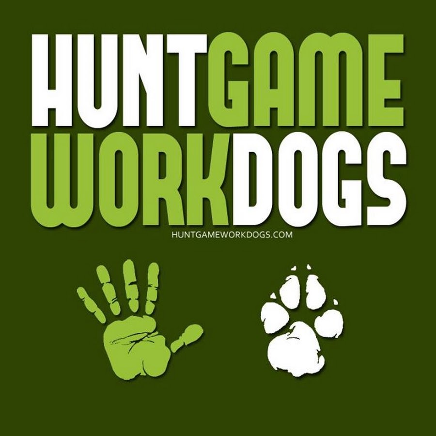 Hunting Game Working Dogs YouTube