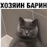 Хозяин Барин