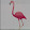 Tony Flamingo