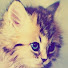Evilina Cat