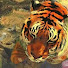 BtLUK9nKZTQ-channel-avatar-Lindss_coo