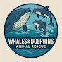 Whales logo