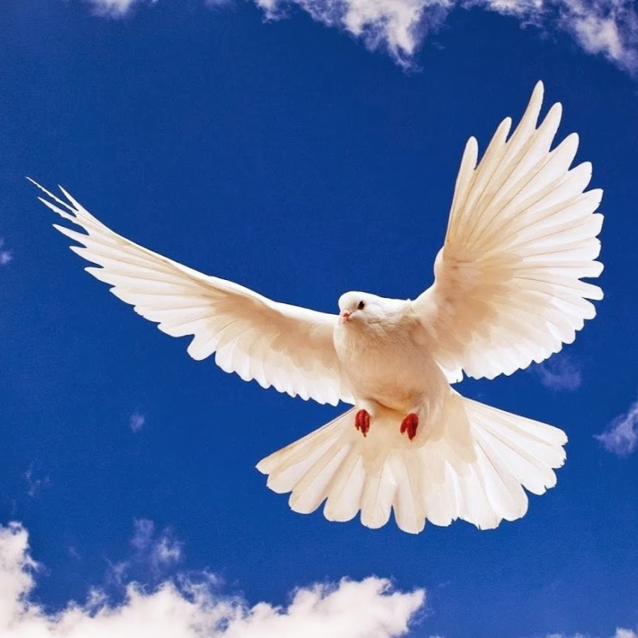 Christian Worship Songs YouTube