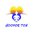 sIswER8wnJw-channel-avatar-Hoopoe Tok || هدهد توك