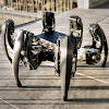blegas78