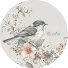 FLu13UW1Xic-channel-avatar-Nc Notes – Relaxing Music and Nature