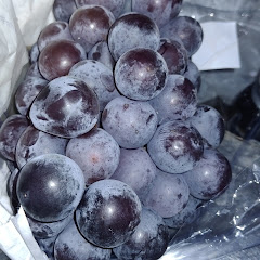 7日間の灼熱ドライブ