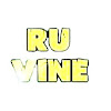What could RuVine buy with $232.49 thousand?