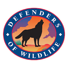 Defenders Of Wildlife