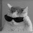 Tu_SFzbo5ec-channel-avatar-BOROXY GAMING