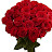 @Sabiha_mohmd