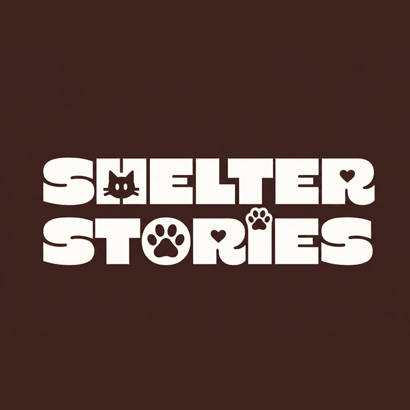 Shelter Stories