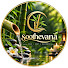 dcmhSRyAico-channel-avatar-Soothevana