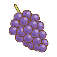 ぶどう🍇