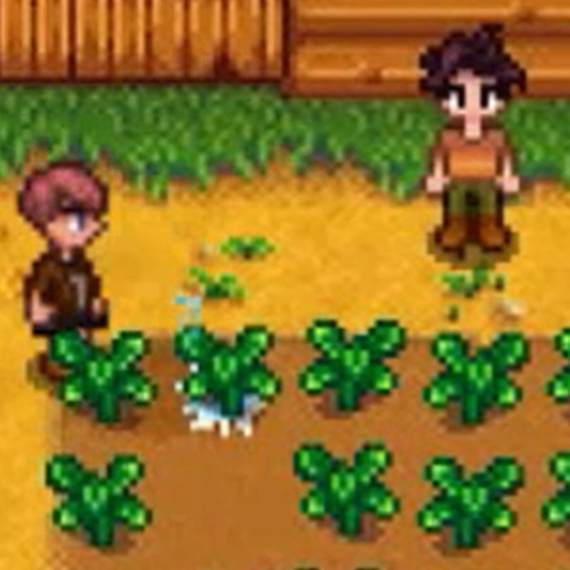 Azafid Stardew