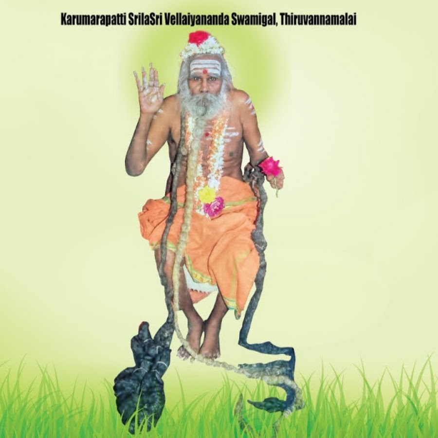 Image result for srilasri vellaiyanandha swamy