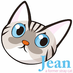 保護猫ジャンけんポン