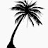 h4Dq6I10VX0-channel-avatar-La_Palmeraie