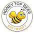 5awTF8DL9DE-channel-avatar-Ray Hewitt - Honey Top Bees