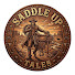 tnCcqilSknI-channel-avatar-Saddle Up Tales