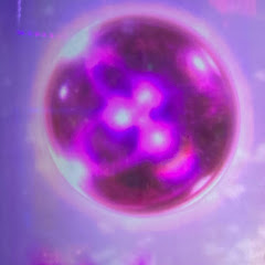 ダウンタウン最高松本人志最高