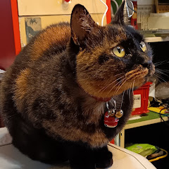 勝則アイコン画像