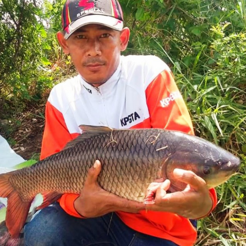 ตกปลากับมิสเตอร์กิม