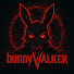 FSis4Dj0Yoc-channel-avatar-BunnyVValker