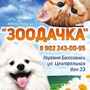 ЗООДАЧКА  г.Иваново
