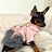 @minpin_melo