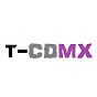 Terminal CDMX