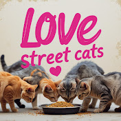 Love Street Cats
