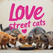 Love Street Cats