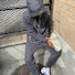dOdgKhoYO7c-channel-avatar-ThatBoy_Proxy