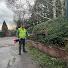D1hiNZs-0Rc-channel-avatar-SGM-garden maintenance