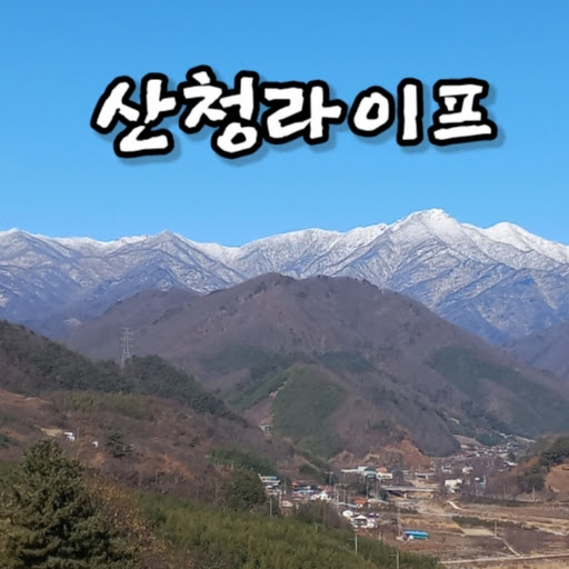 산청라이프